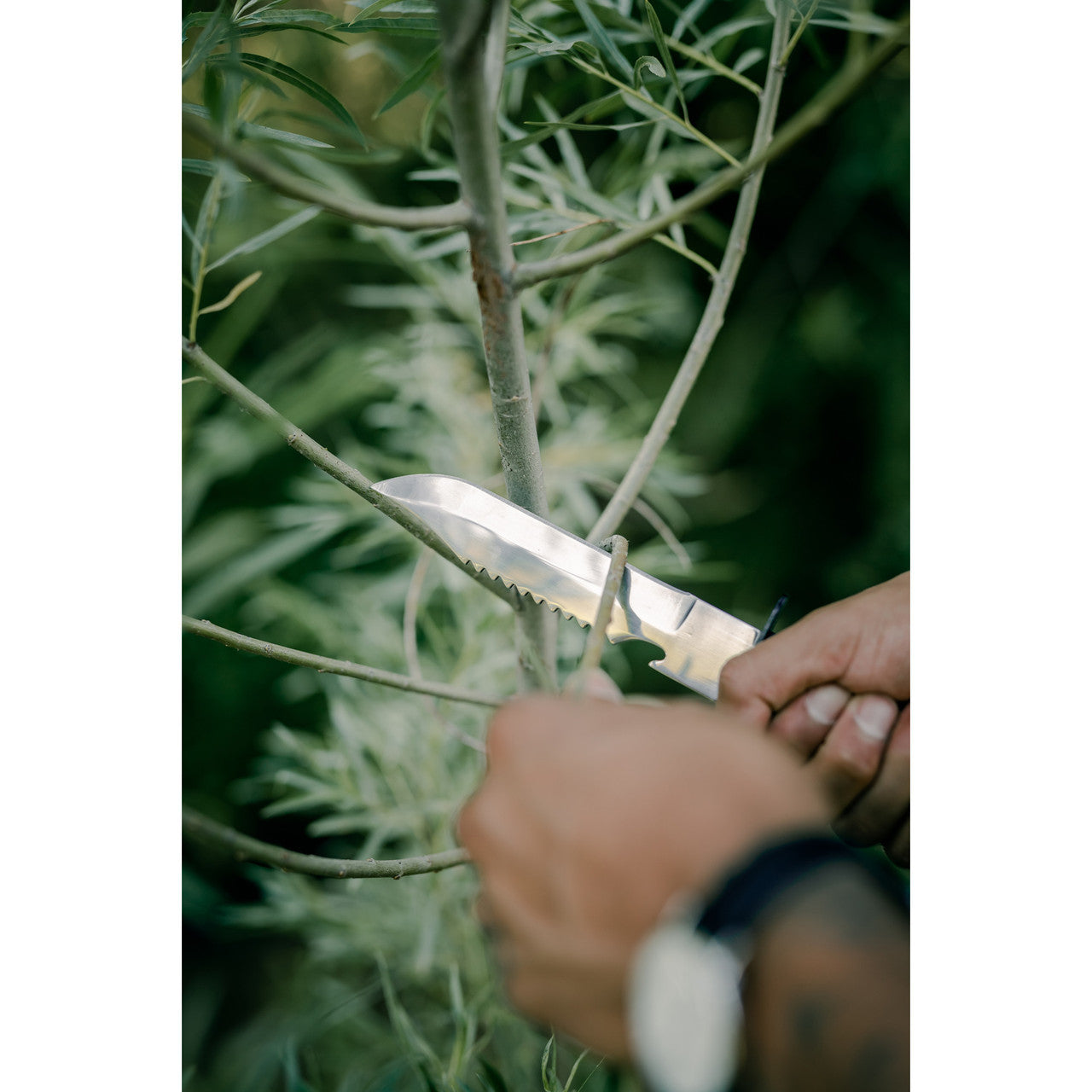Survival Knife Set | Fixed Blade Knife with Compass, Sheath & Mini Survival Kit