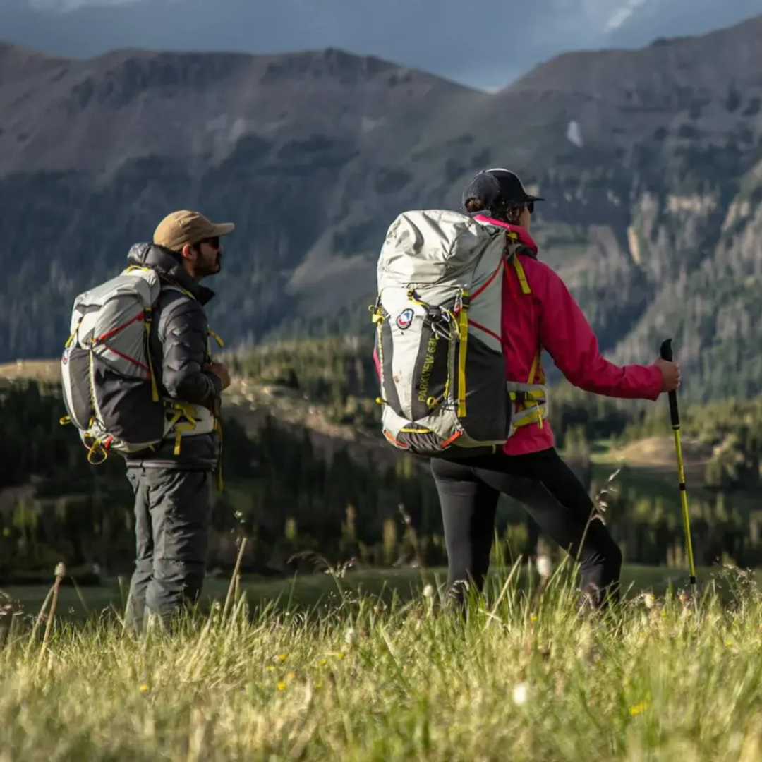 Two hikers with backpacks in a mountainous landscape